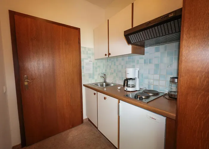 Soldanella 1 By Alpenidyll